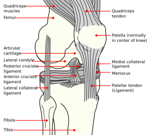 conservative treatments for knee pain