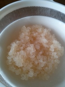 Water Kefir grains Aurora