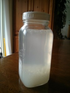 Water Kefir Jar
